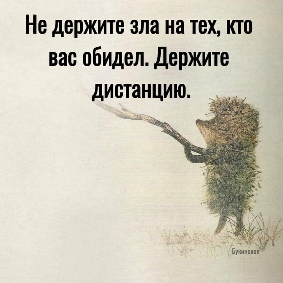 Настроение дня, украденное в сети