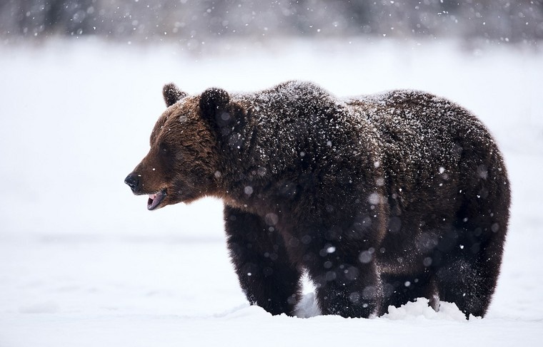    Shutterstock/FOTODOM