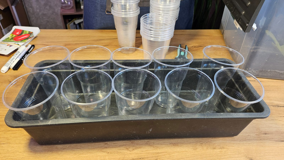 У меня - стаканы на 0,5 литра и ящик под них