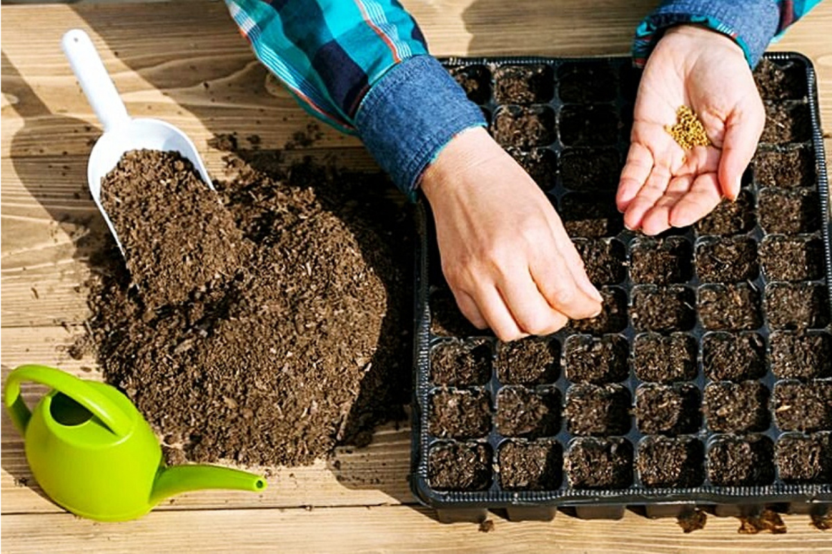 Лунный календарь огородника