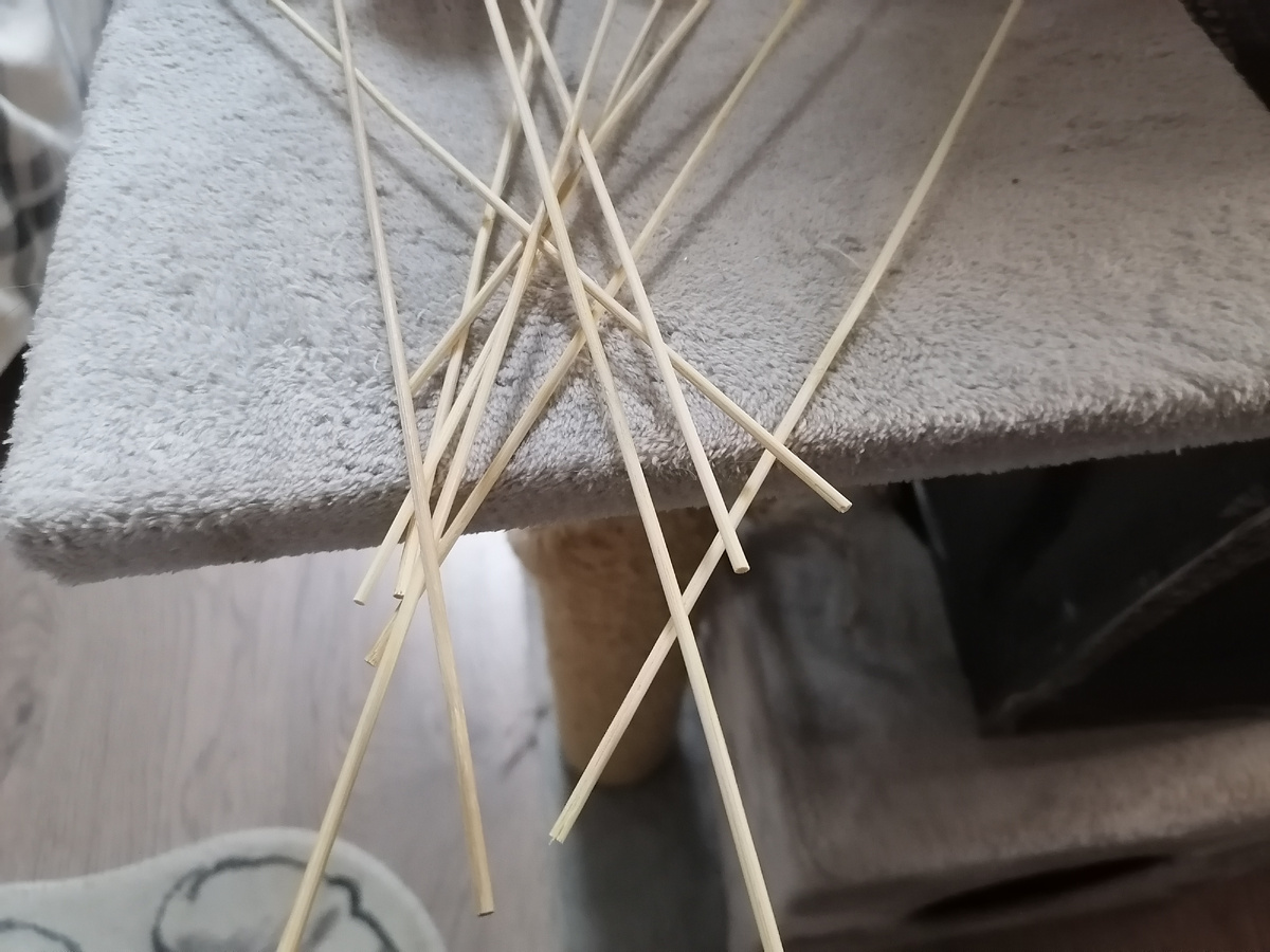 Личное фото автора 