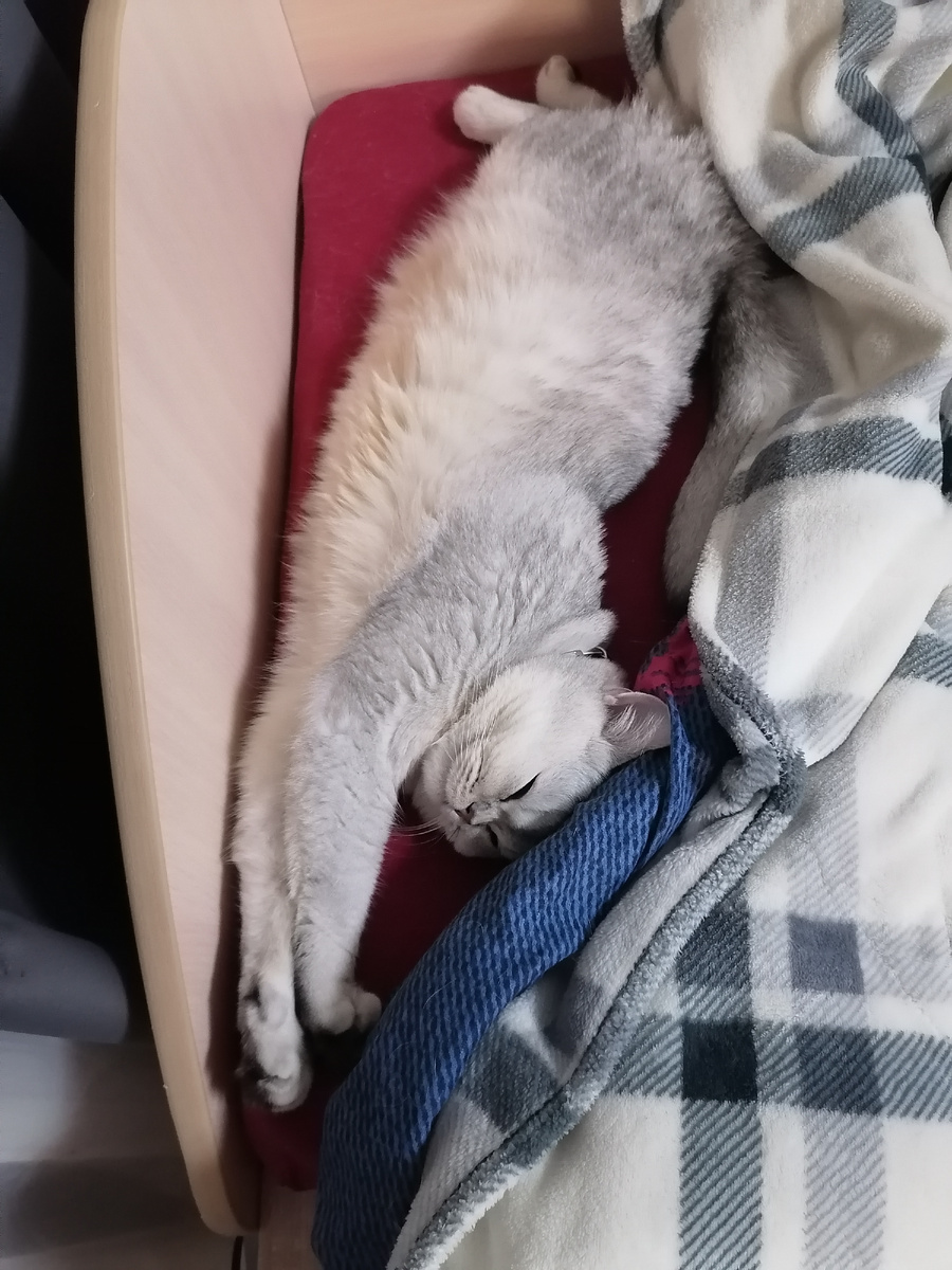 Личное фото автора 