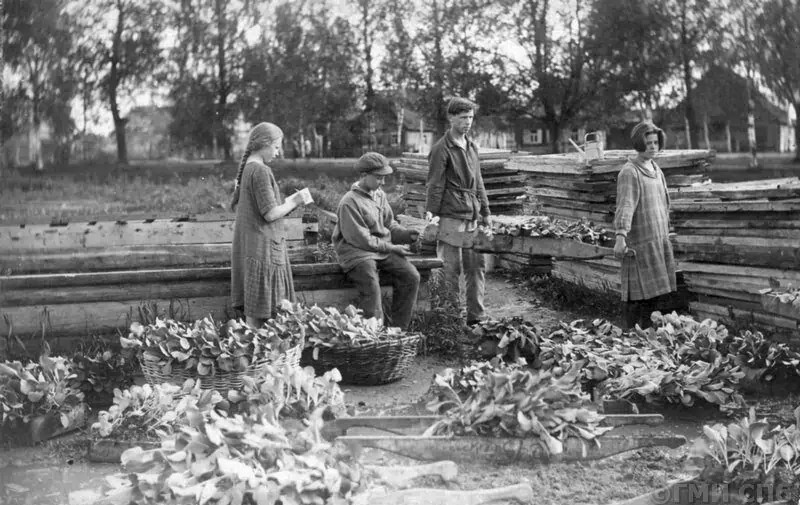 Школа-колония «Красные зори». Фото с сайта https://pastvu.com/p/1408744