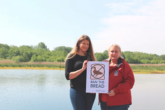 Кампания "Ban the Bread" ("Запретить хлеб") оказалась рекламной акцией по продвижению специализированного корма для птиц
