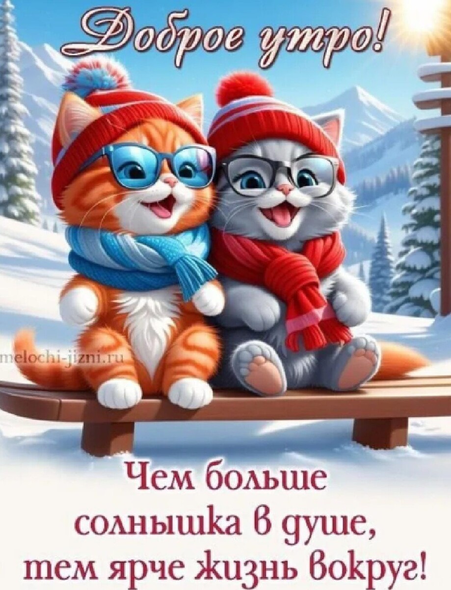 Фото из сети Интернет