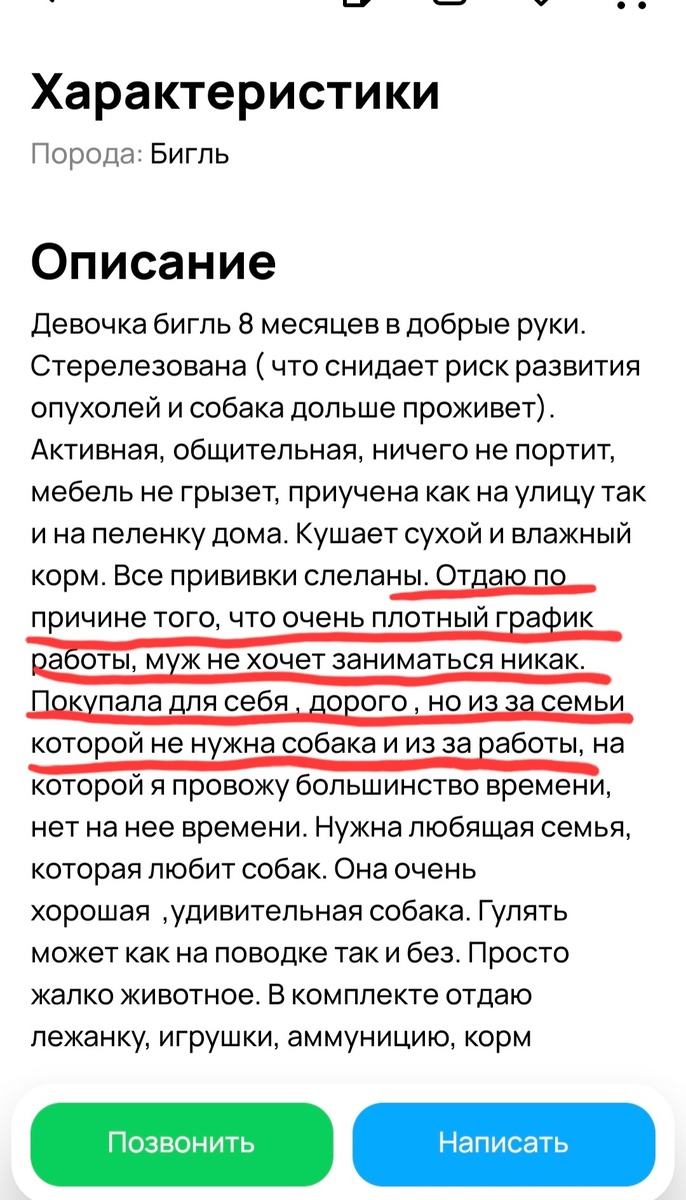 Вот типичный пример безответственности людей: "покупала для себя", а претензии к мужу и семье, "которой не нужна собака". Яркий пример инфантильного, безответственного отношения к животному, коих много на том же Авито. У этой породистой собаки хотя бы есть шанс на пристрой, в отличие от тех, кого покупали дешёво или вообще бесплатно, их не жалко выбросить. 