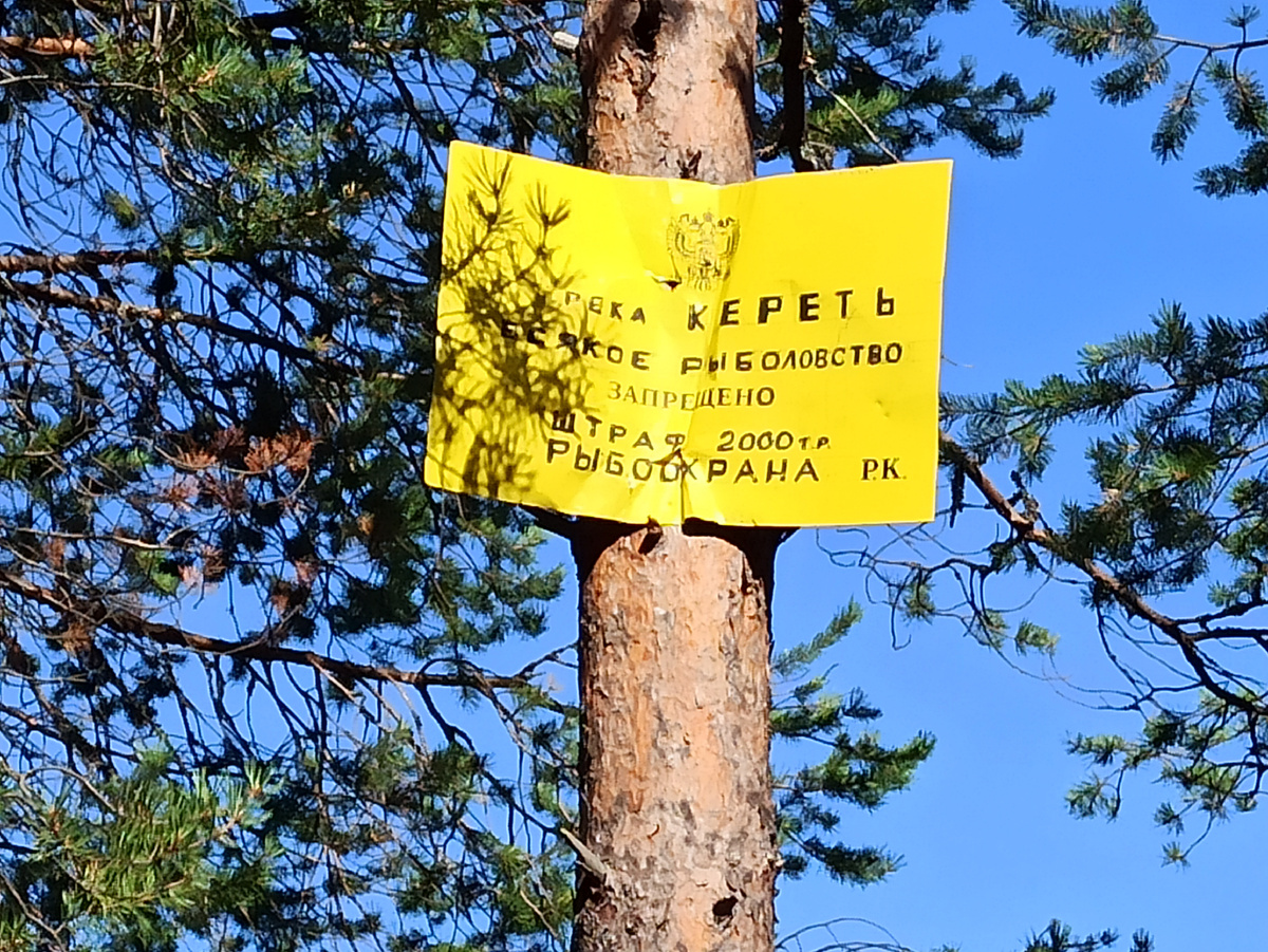 В свете утреннего солнца жёлтая табличка смотрелась особенно хорошо