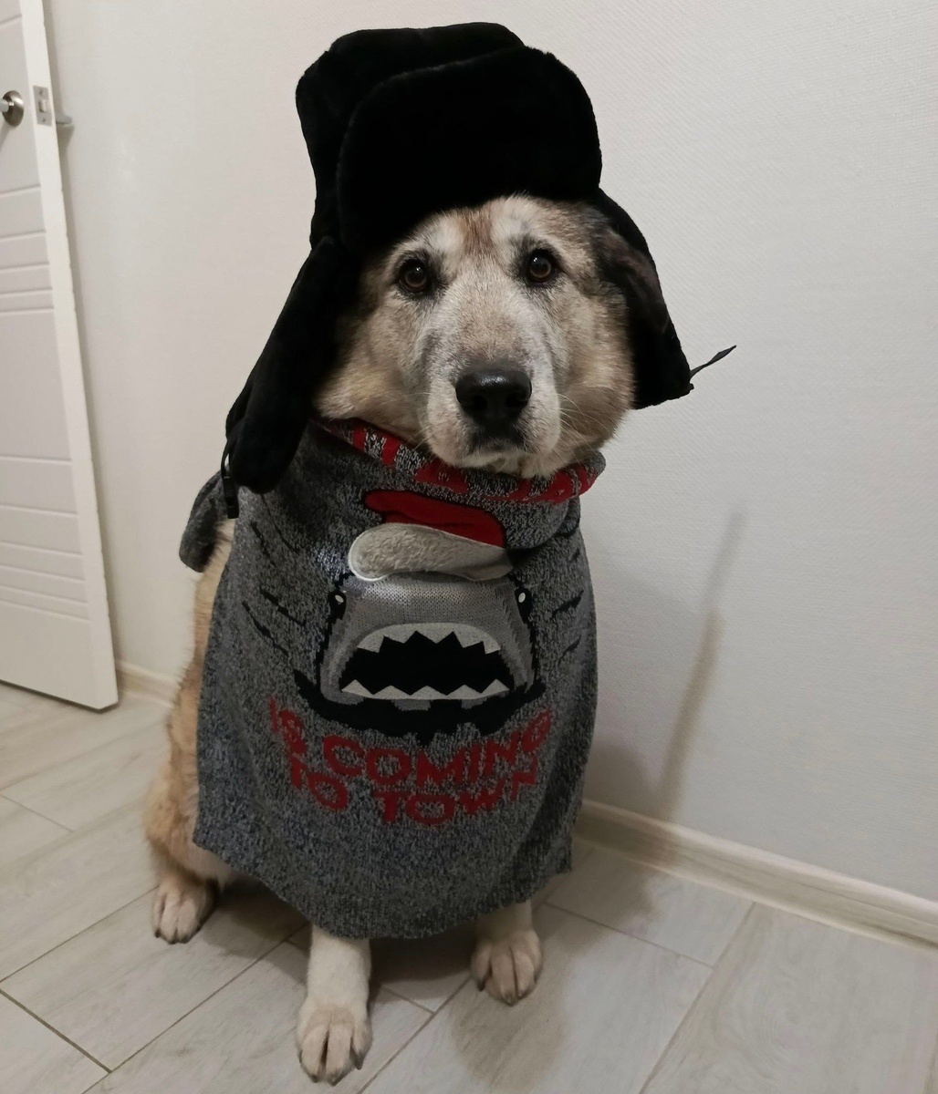 Ева в шерстяном свитере и шапке-ушанке