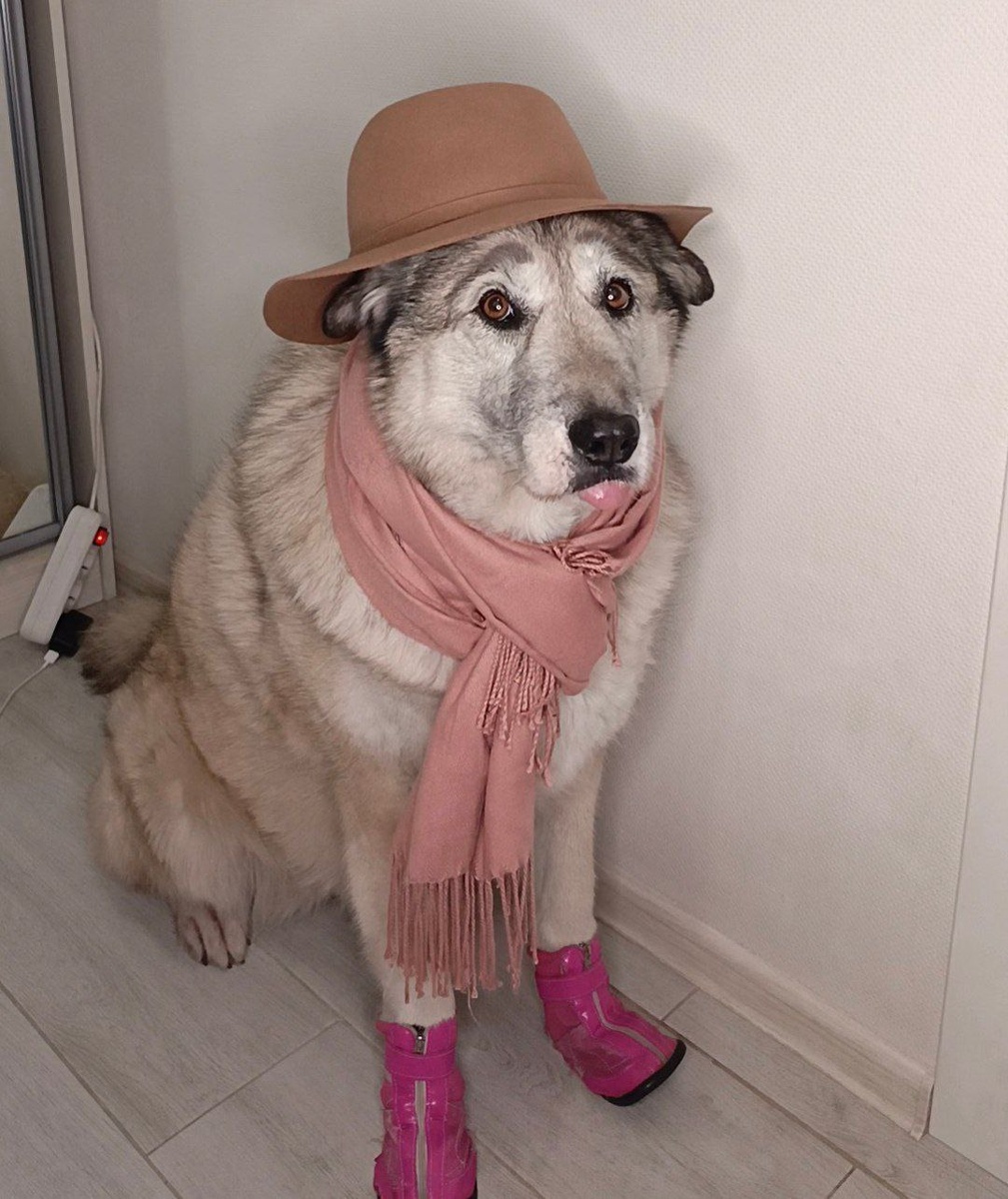 Ева в шарфе, шляпе, босоножках и с красивыми бровями