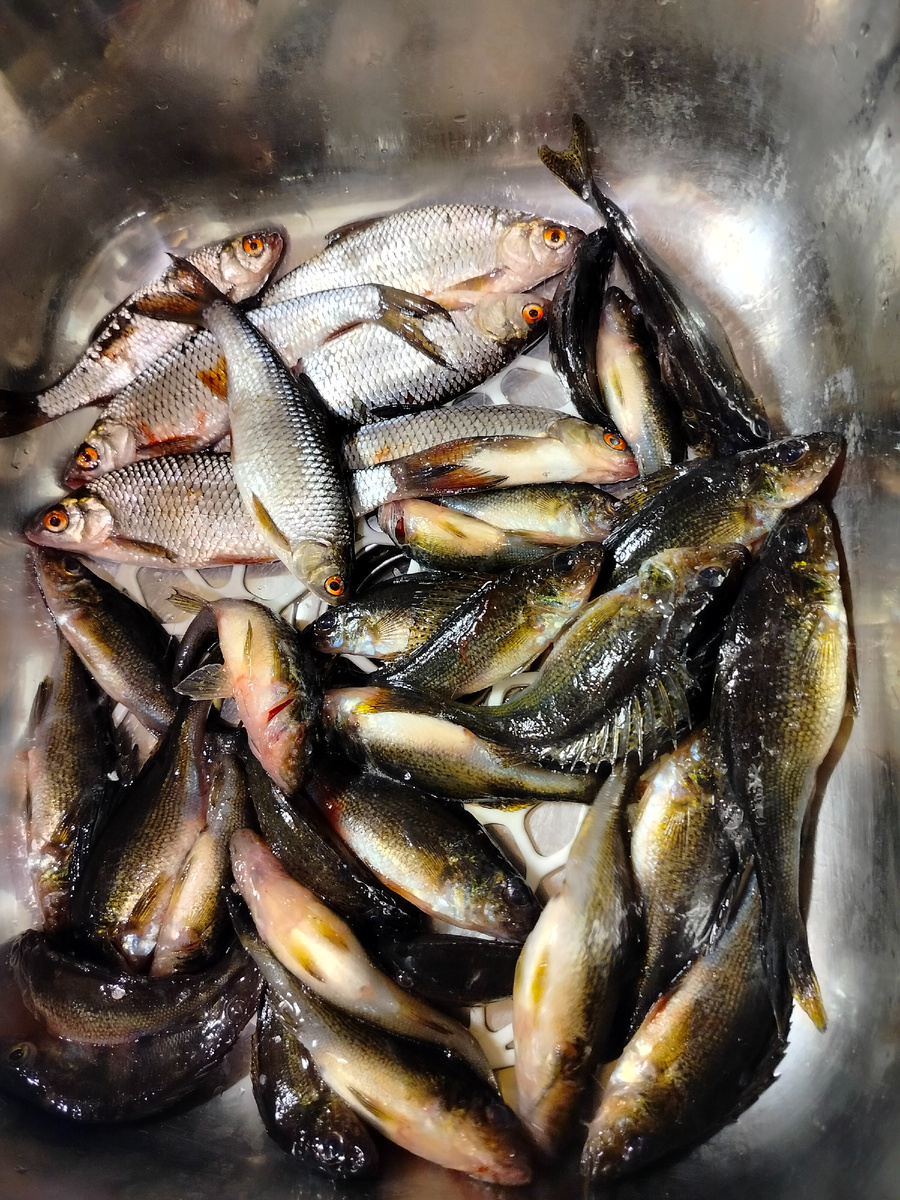 Вот такой улов