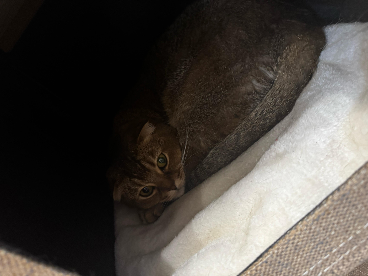 Мэй Ли (фото из личного архива)