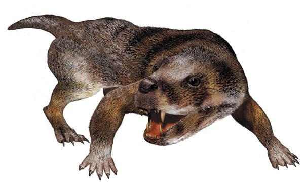 Тринаксодон был очевидцем тех событий.