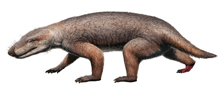 Тринаксодон от Г.Угуэто.