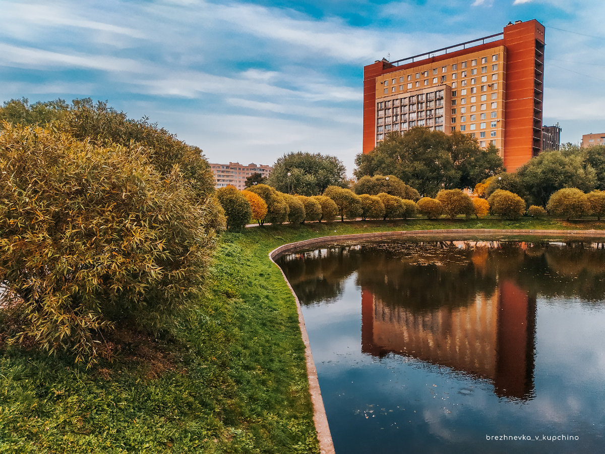 Яблоневый сад. Фото моё.