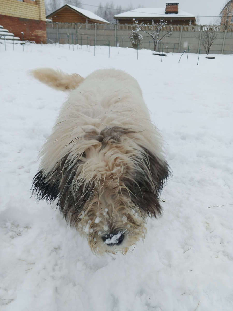 Хозяин участка держит все на контроле. 
