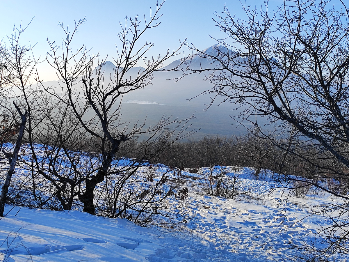 Вид с Перкальских скал (март 2025 года)