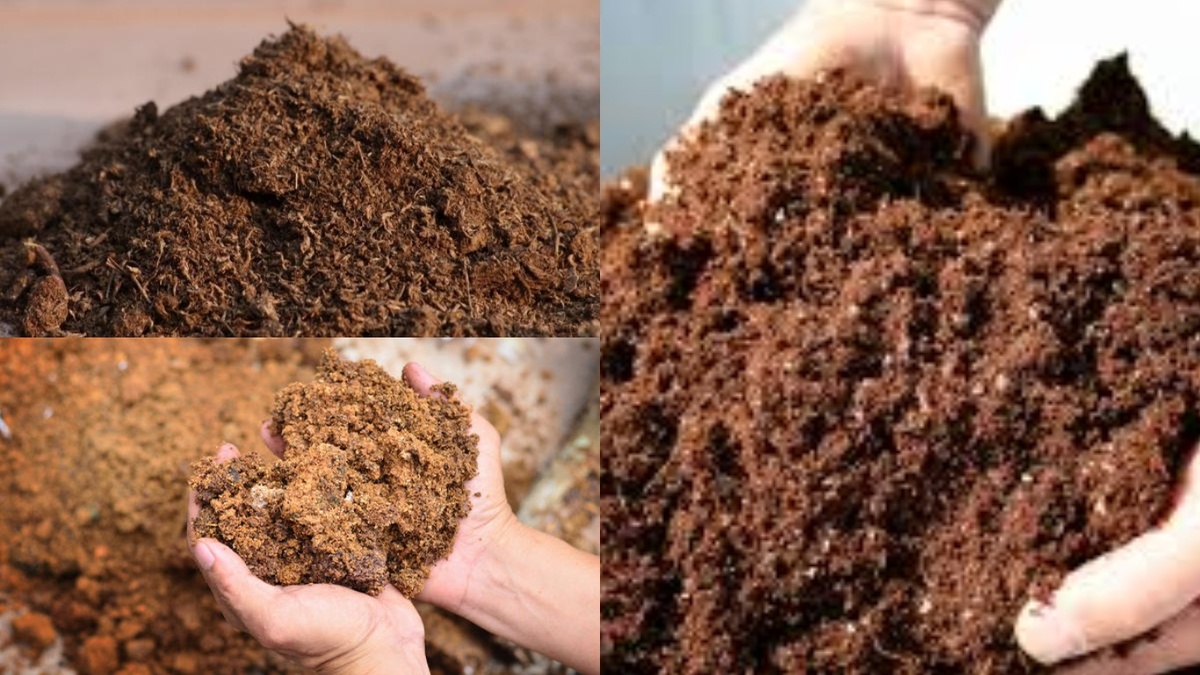 Компоненты для приготовления питательного грунта в правильных пропорциях