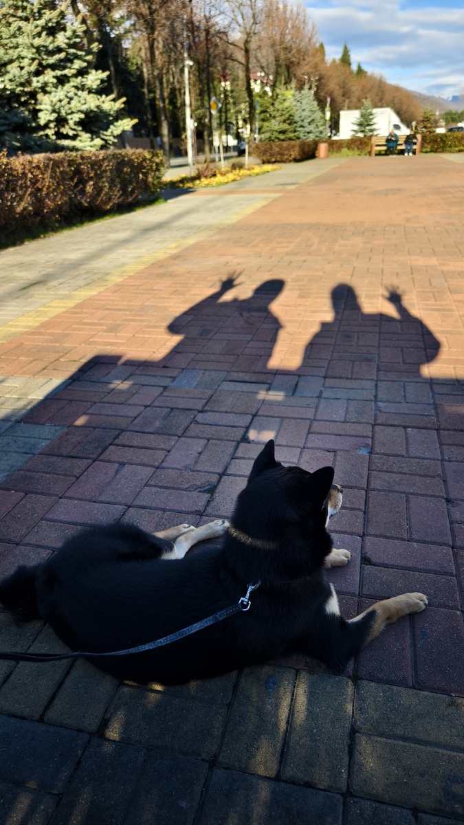 Это наша дружная компания 😄