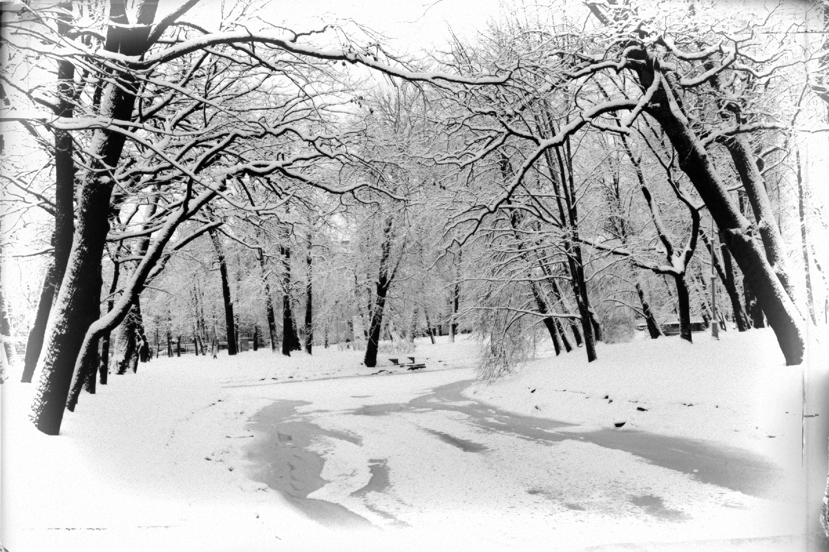 Если кто меня хватится, я ещё тут, 
Где весною деревья волшебно цветут, 
Где по осени листья, шурша, опадают, 
Где бессонные души ночами рыдают 
И рассветной зари, как спасения, ждут... 
Ну короче, коль хватятся, я ещё тут. 
 
Лариса Миллер
