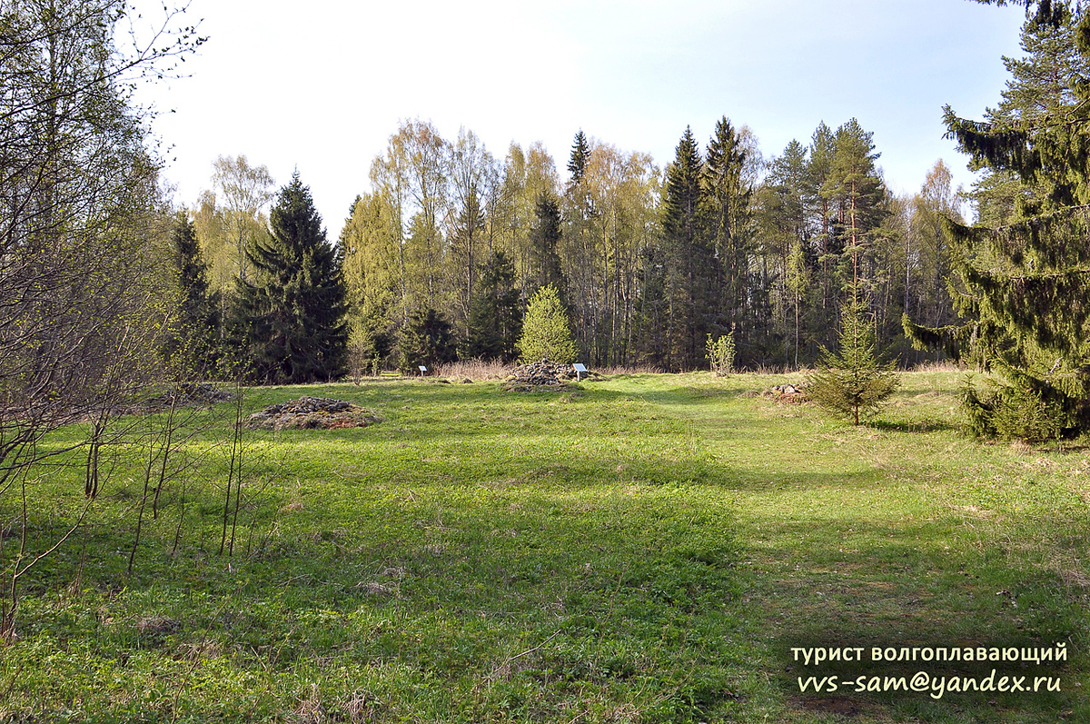 Фото 19.05.2014.