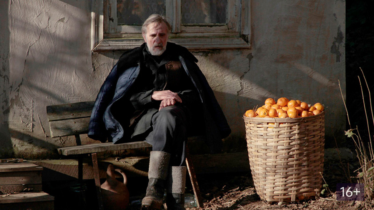 Заза Урушадзе написал сценарий фильма всего за две недели. 