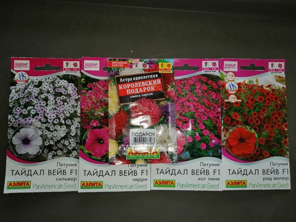 Четыре сорта петуний Тайдал Вейв.