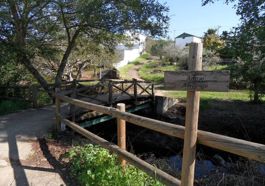 Типичный пейзаж