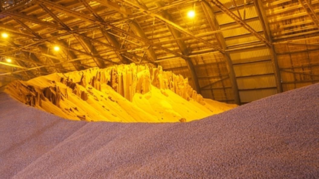    Фото: Serguei Fomine/Russian Look/Globallookpress