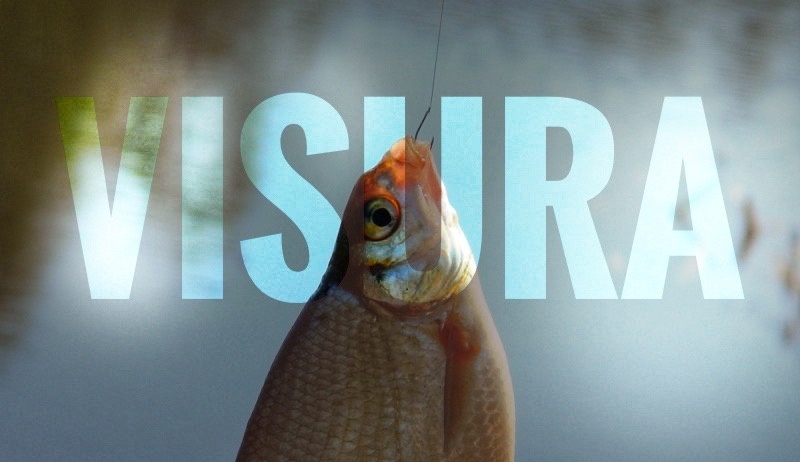 Пример сильной статьи с крючком в начале