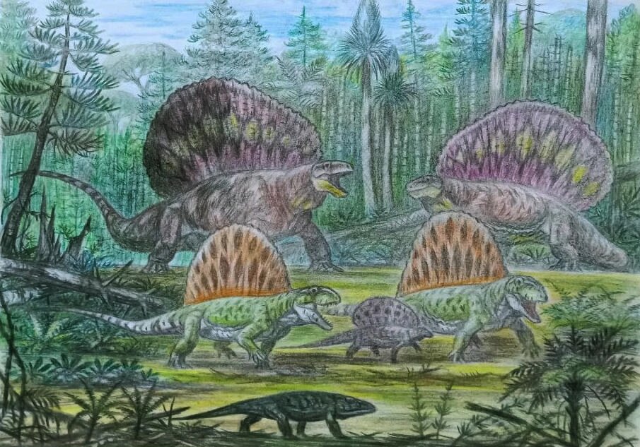 Вот например раннепермская картина где присутствуют одни нетерапсидные синапсиды а.к.а "пеликозавры" ну и ахелома (внизу).