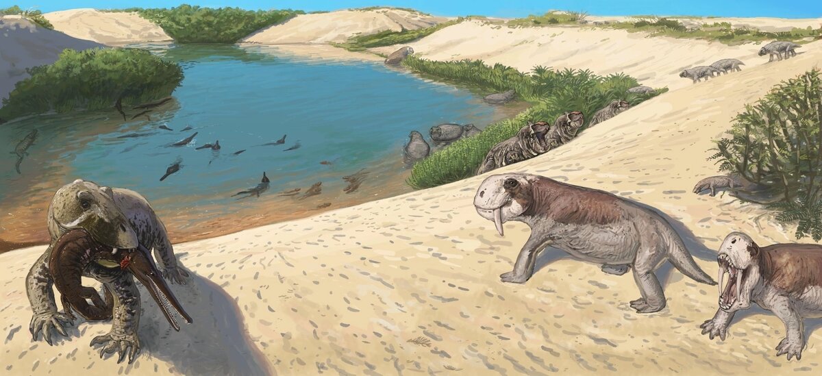 А вот это среднепермская бразильская формация где присутствует дейноцефал пампафоней (слева), аномодонты тиараджуденс (справа) и растодон (под кустиком). 