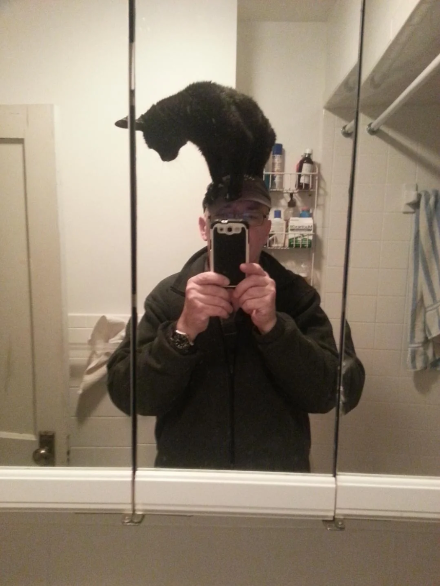    Хотел залезть на плечи, но чутка перестарался.