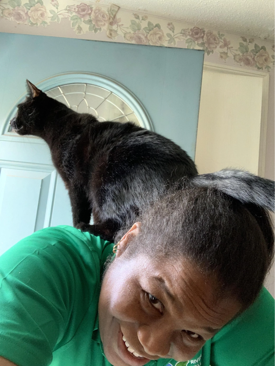    Высматриваю новые горизонты.