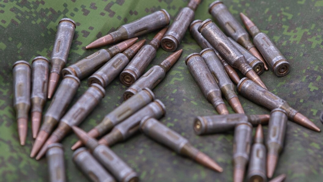    Фото: Bulkin Sergey/Globallookpress