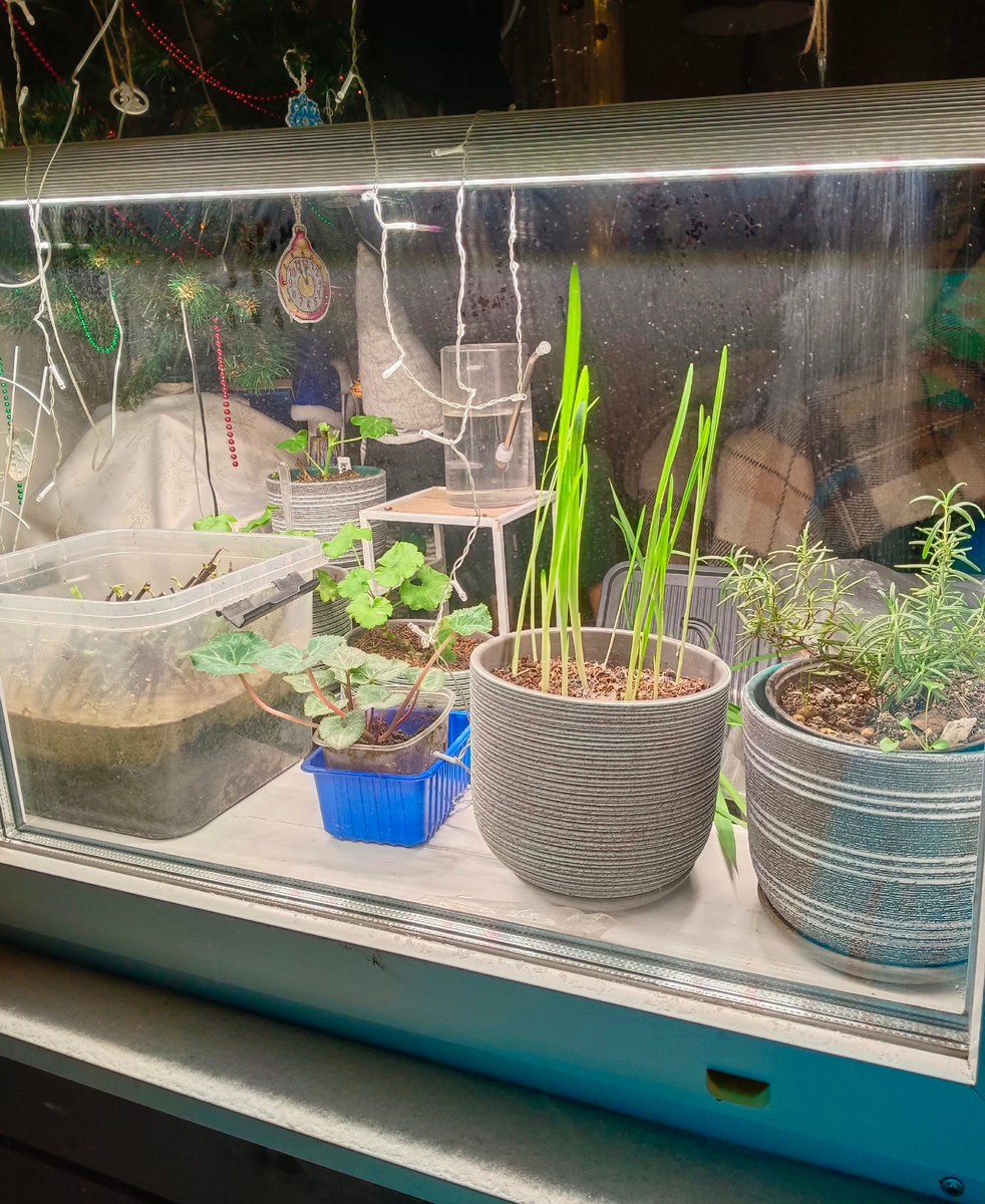 Окно. Вид с улицы.Фото из личного архива автора