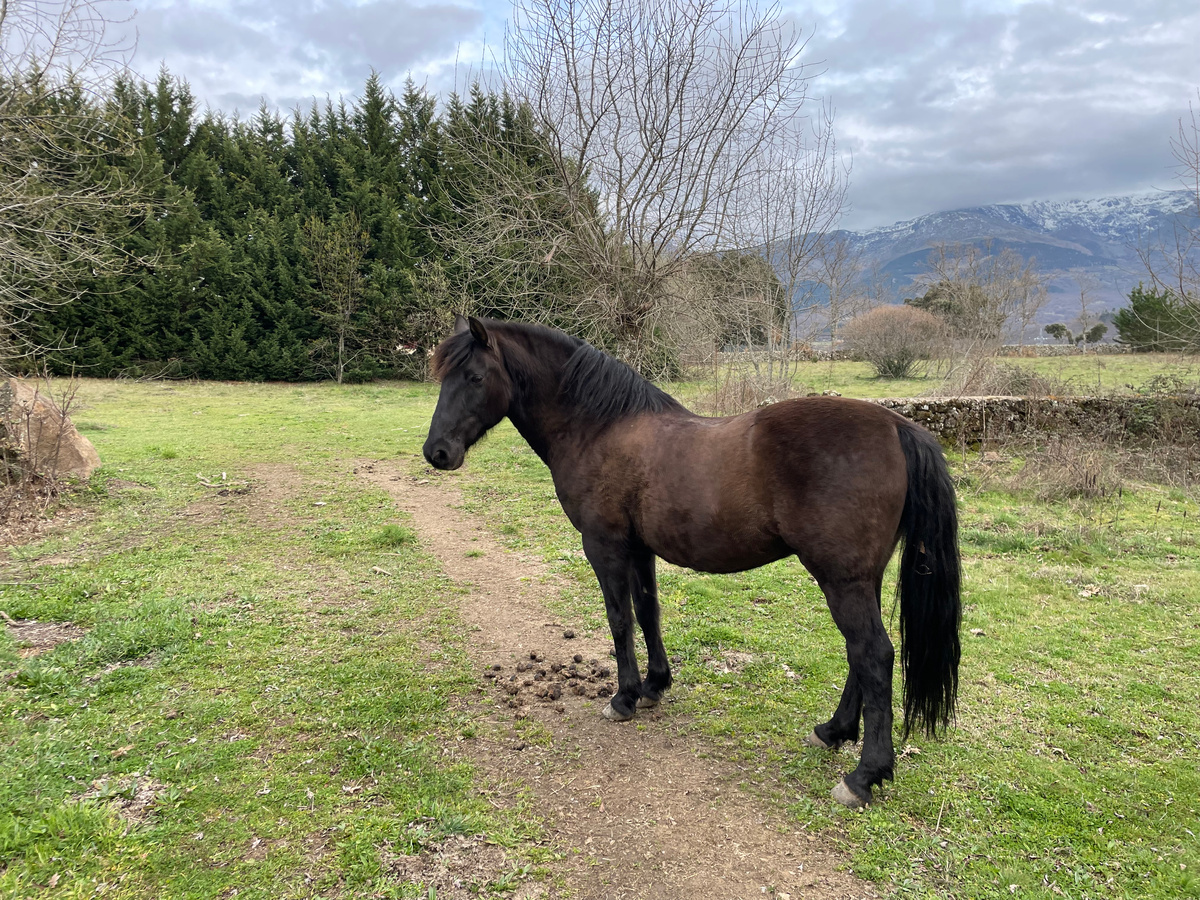 Это Дарко после первого перегона 