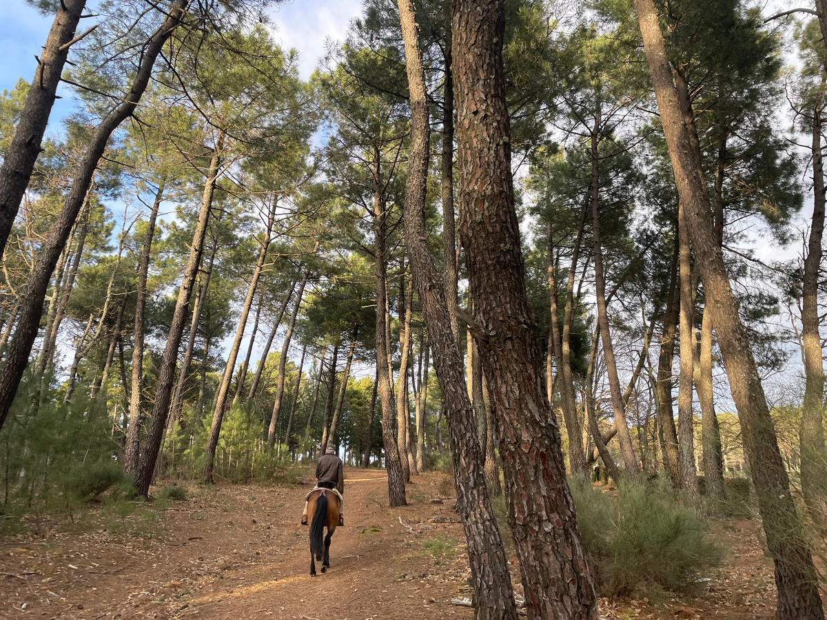 Вот так, примерно, выглядят наши перегоны