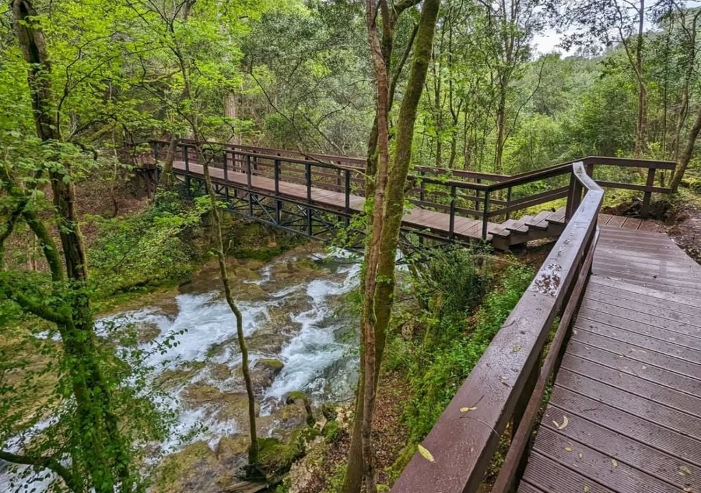 Обустроенные пешеходные дорожки