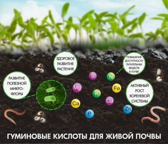 Взято из интернета.