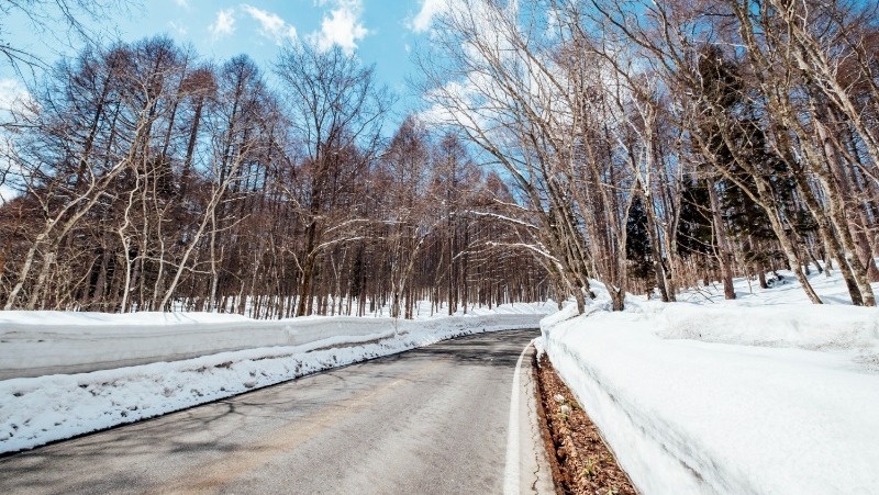 Фото: @jcomp / freepik.com