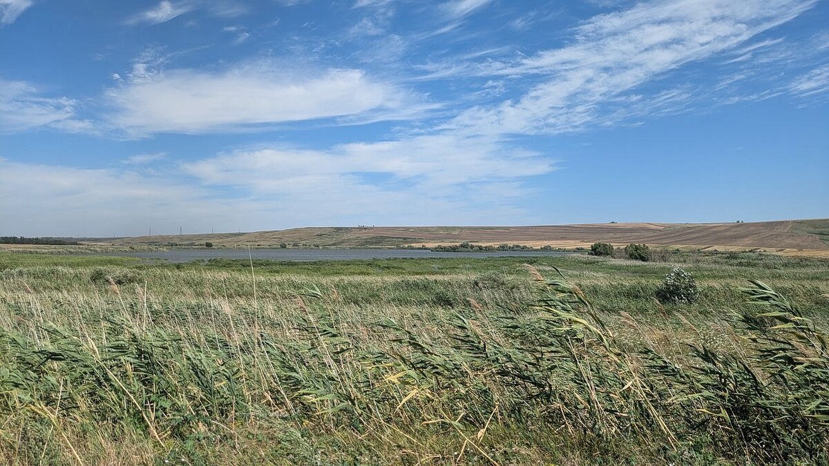    Фото: телеканал «Краснодар»