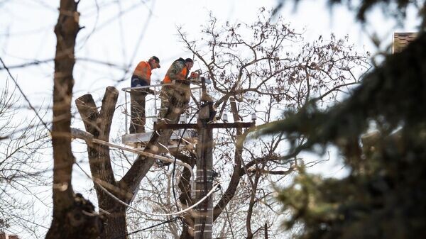    © РИА Новости Крым . Дмитрий Макеев