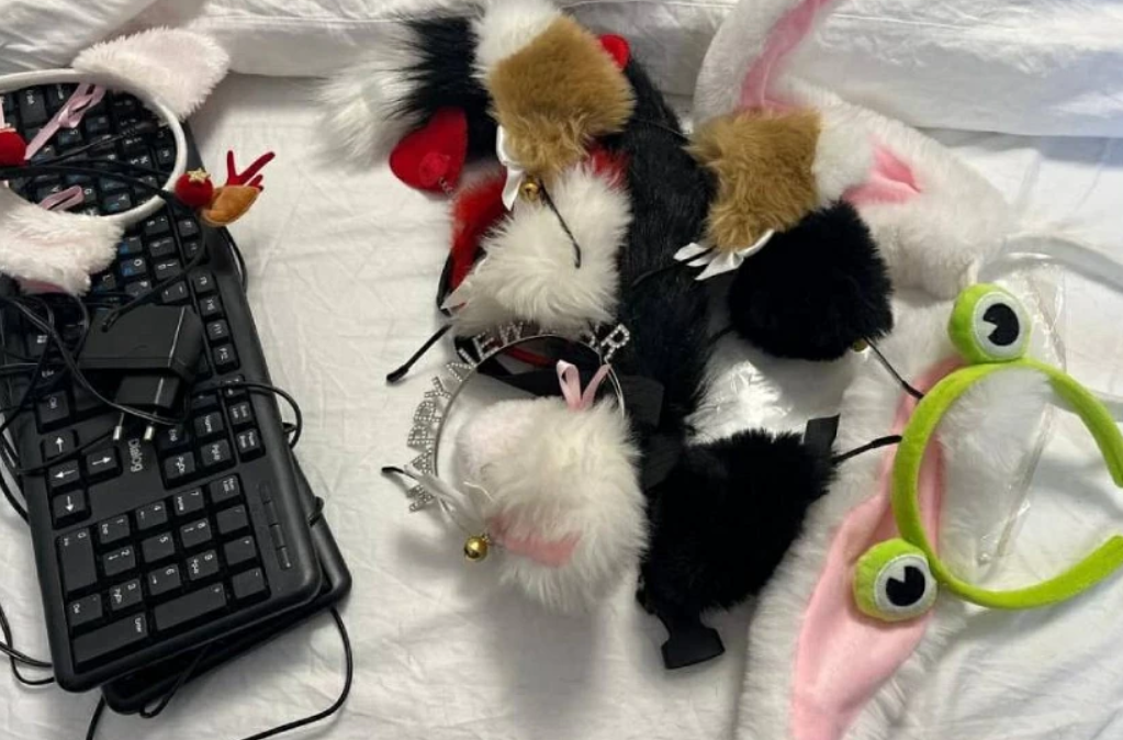    В Оренбурге прикрыли две вебкам-студии и задержали четырех моделей