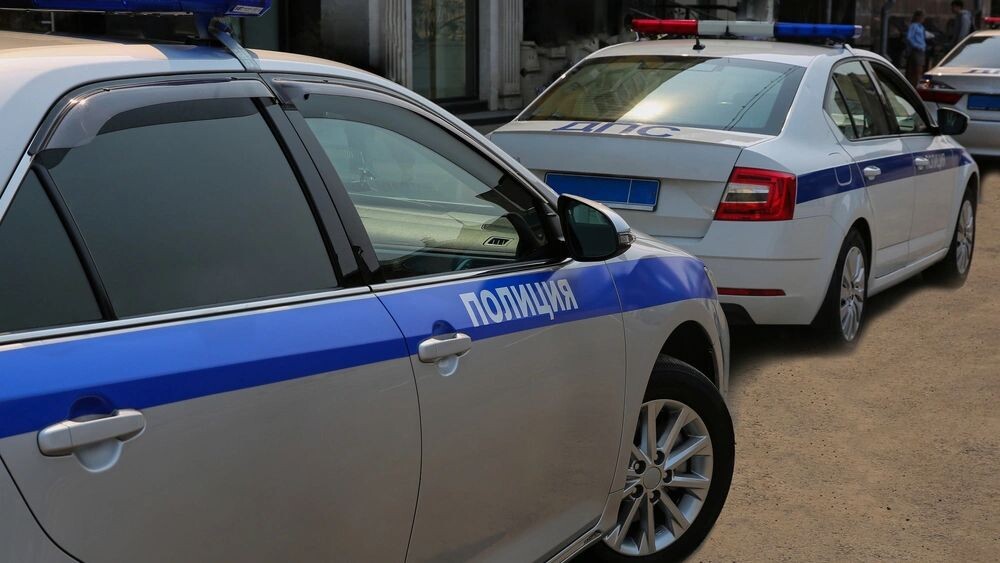    Фото: alleks19760526/Shutterstock/Fotodom