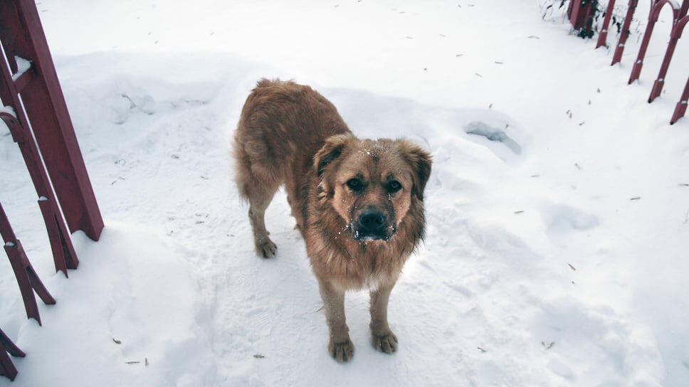 Фото: Юрий Стрелец / Коммерсантъ