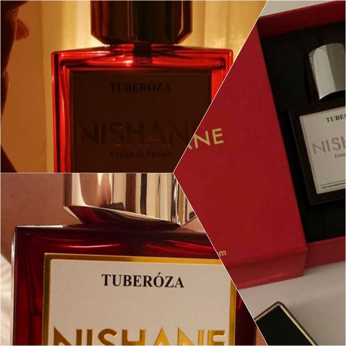 2014. Парфюмер: Jorge Lee. Верхние ноты: Иланг-иланг, Цветок апельсина, Артемизия и Сладкий апельсин; средние ноты: Тубероза, Гардения, Жасмин и Календула; базовые ноты: Амбра, Ветивер, Мускус и Сандал. 