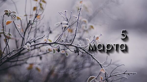    © Photo : Pexels / freestocks.org