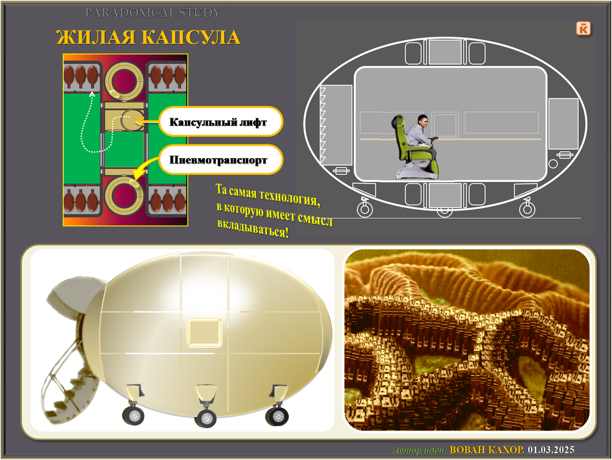 Тема: Капсульное общество