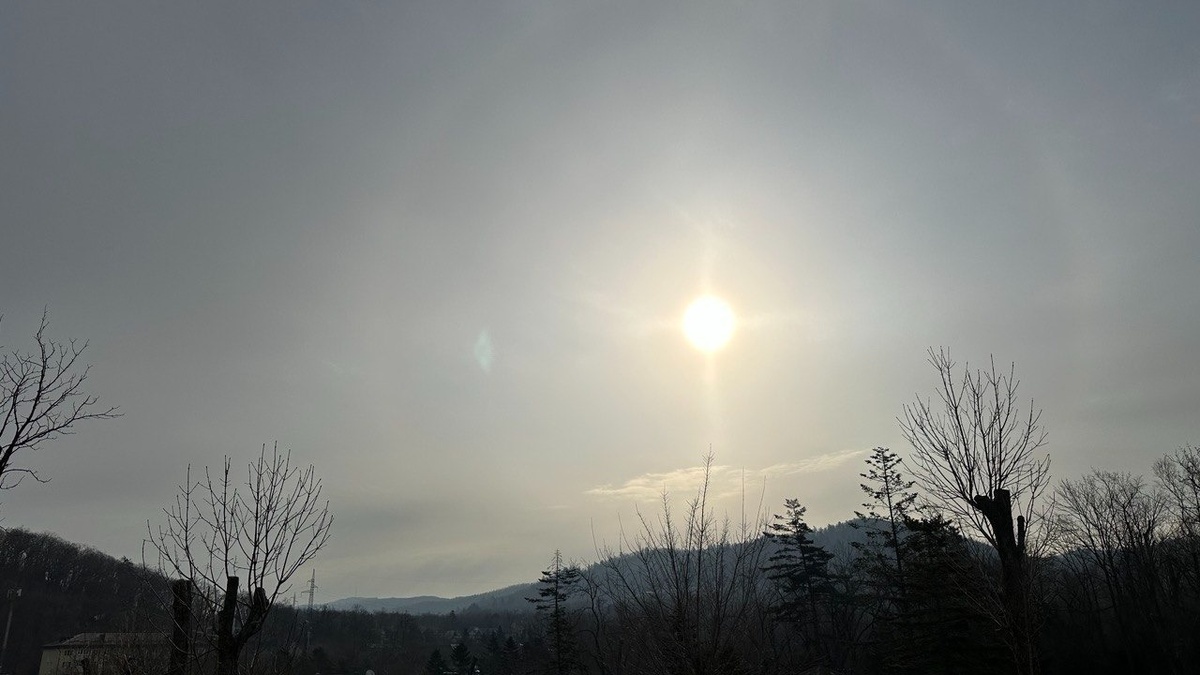     Источник: vostokmedia.com