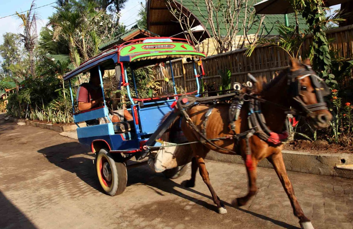 Так выглядит транспорт на острове, да-да/Tripadvisor